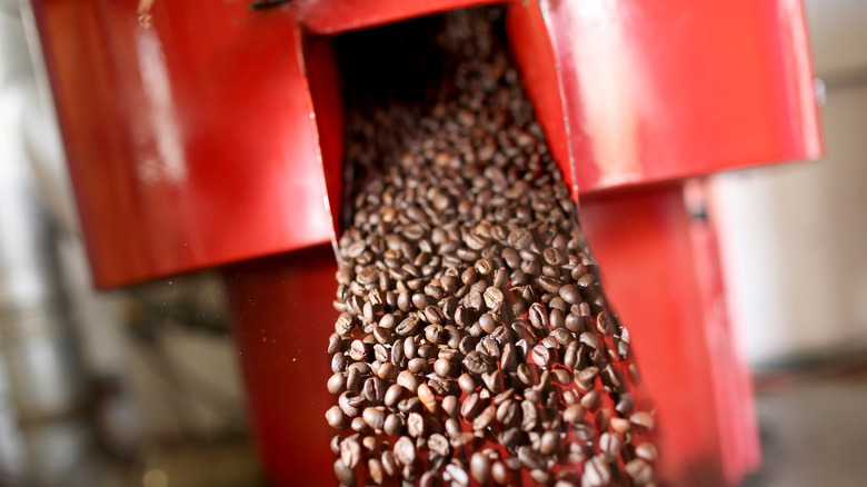 coffee beans during roasting process