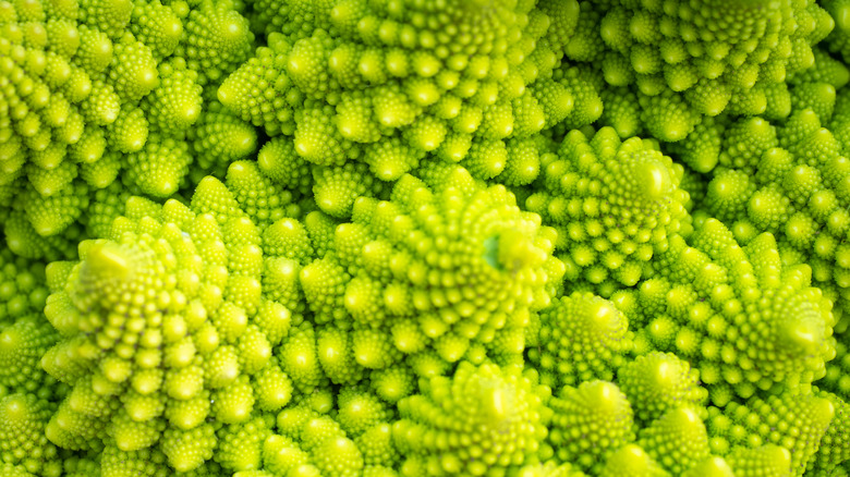 Romanesco spirals zoomed in