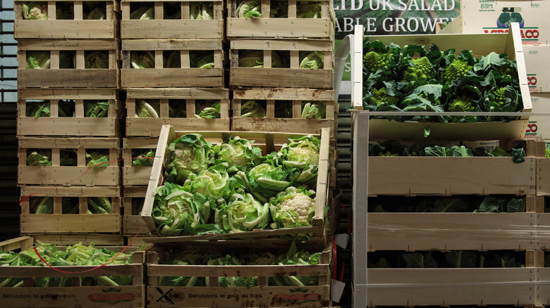 Romanesco and cauliflower in crates