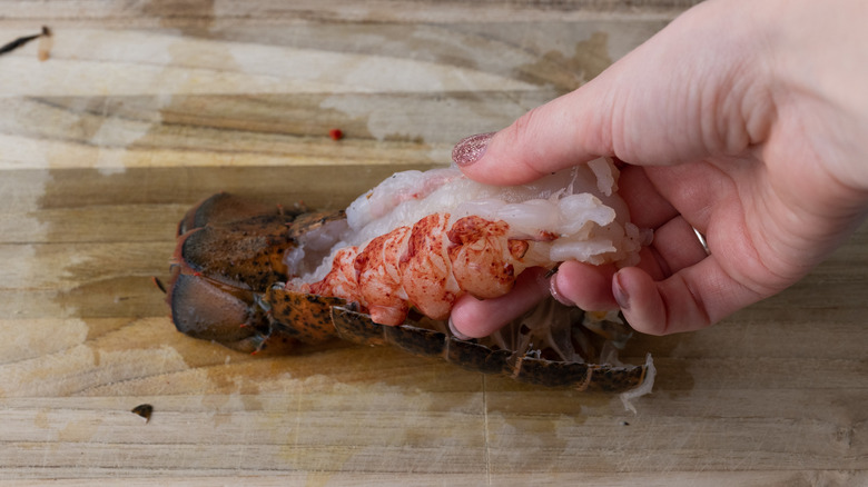 removing the meat from a lobster tail 