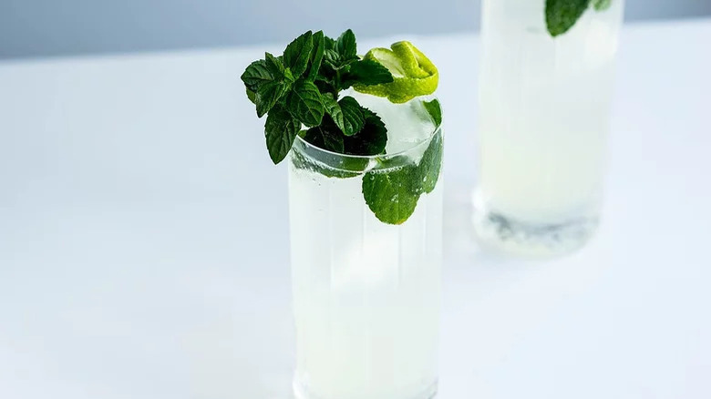 Refreshing Mojito Cocktail
