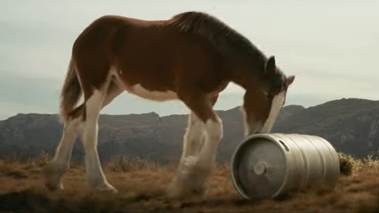 super bowl 2025 budweiser commercials video