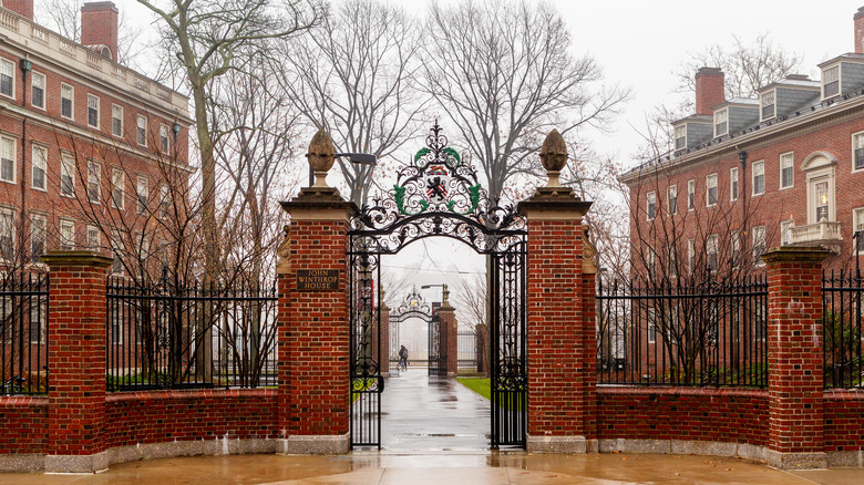 Harvard university campus gates