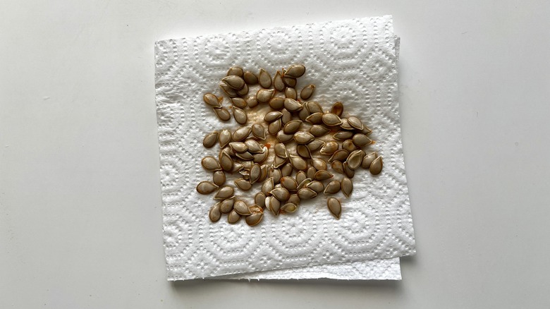 squash seeds on paper towel