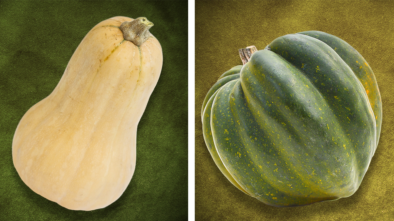 Butternut Squash Vs. Acorn What's The Difference?