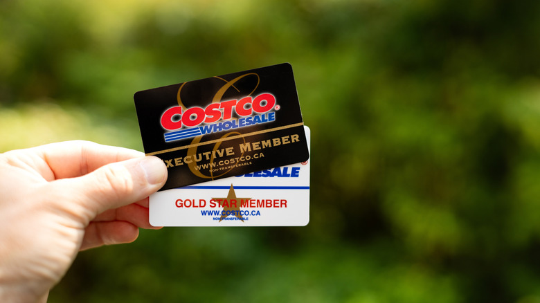 Hand holding Regular and Executive Costco membership cards