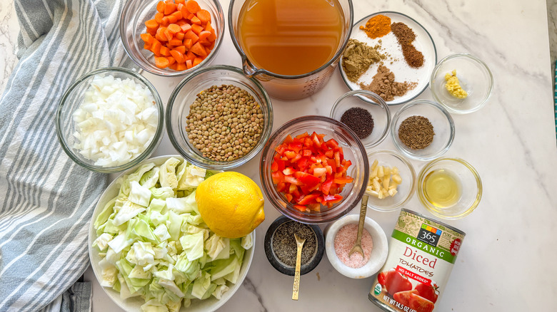 cabbage and lentil curry ingredients