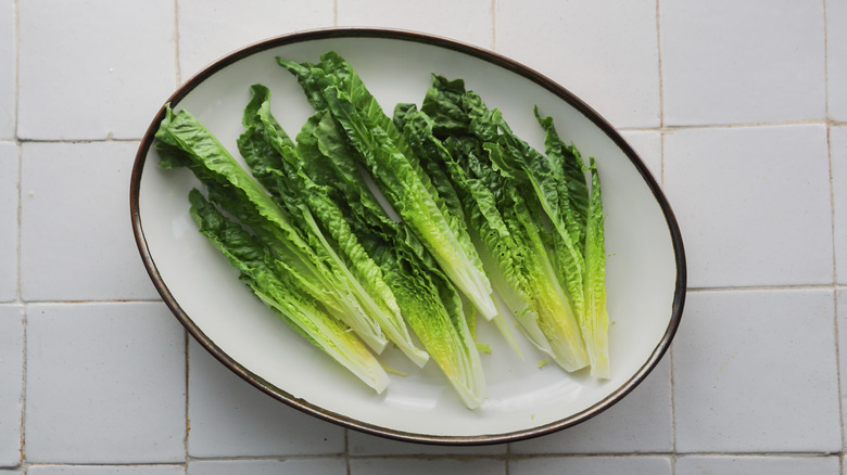 Plate with quartered romaine hearts