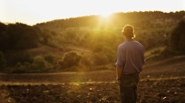 Person standing looking at sunny landscape