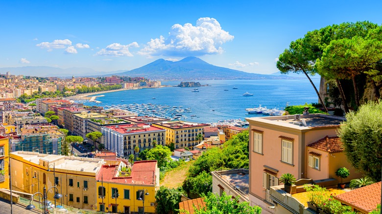 Mount Vesuvius in the background of Naples landscape