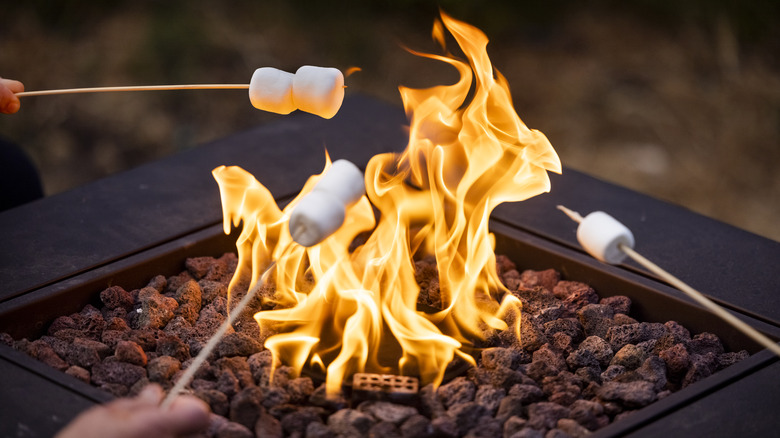 Marshmallows roasting over fire