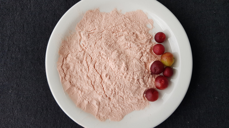 camu camu ground into powder