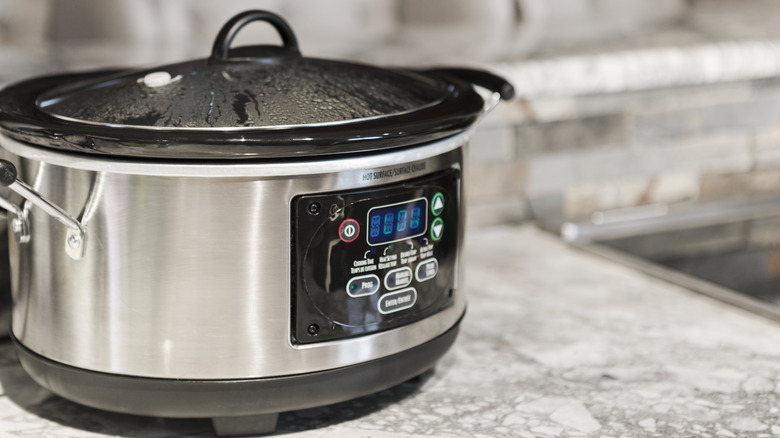 slow cooker on counter