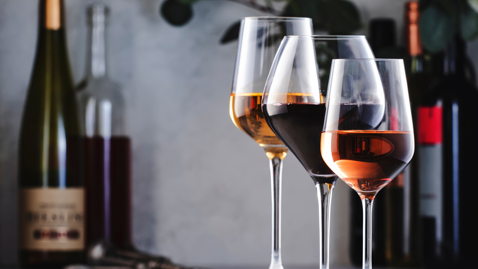 Can Drinking Spoiled Wine Make You Sick 