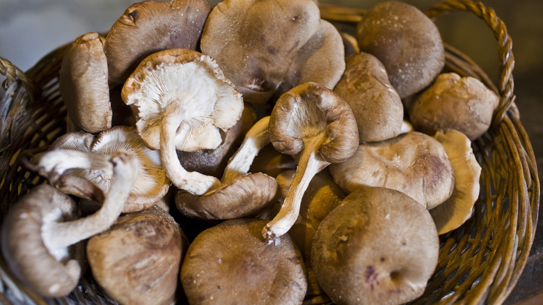 shiitake mushrooms