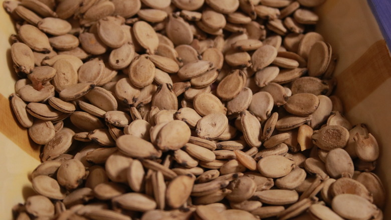 can-eating-watermelon-seeds-make-you-sick