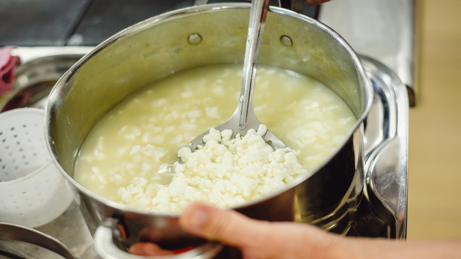 can-pasteurized-milk-be-used-for-at-home-cheesemaking