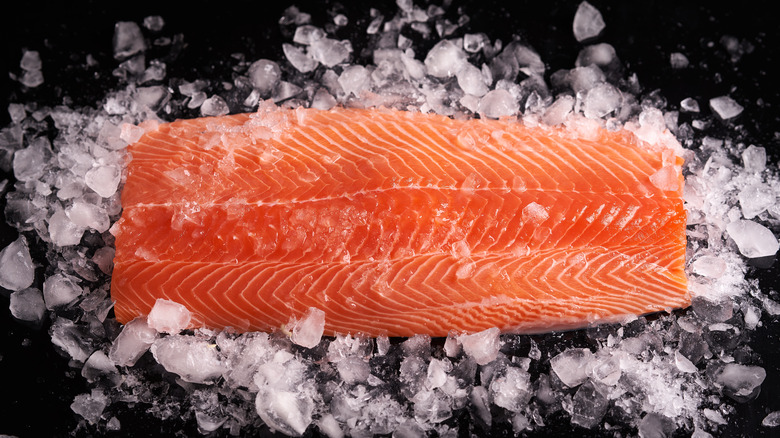 salmon displayed with ice