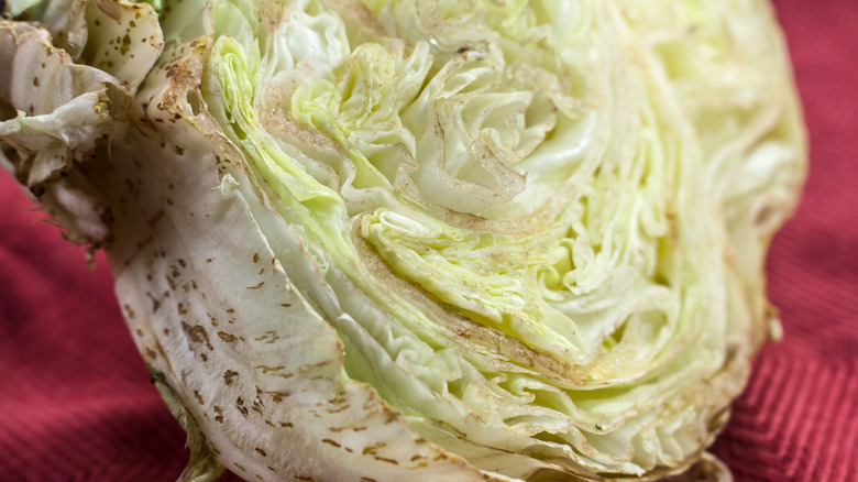 can-you-eat-lettuce-that-s-turning-brown