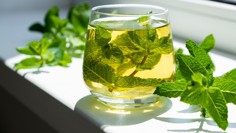 Mint leaves with cup of tea