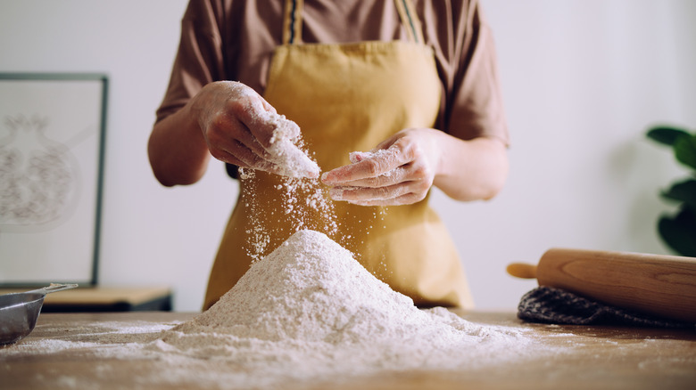 baker sourdough flour