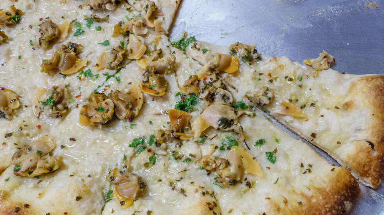 New Haven style clam pizza