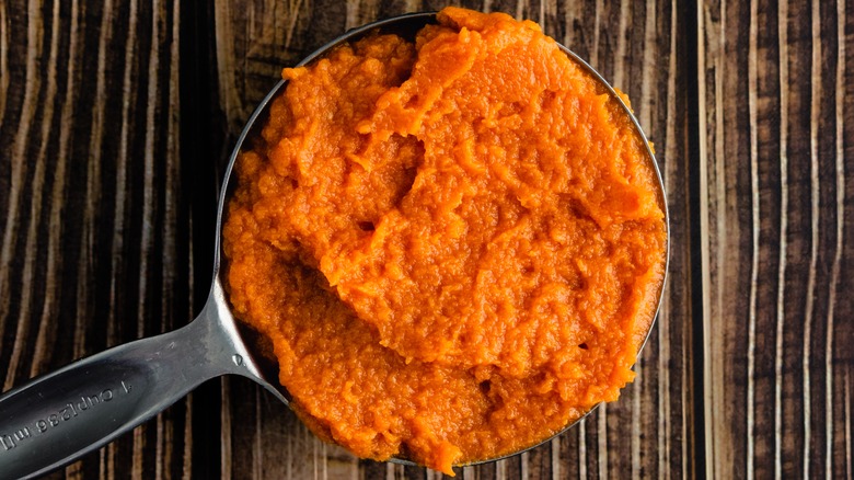 pumpkin puree in white bowl