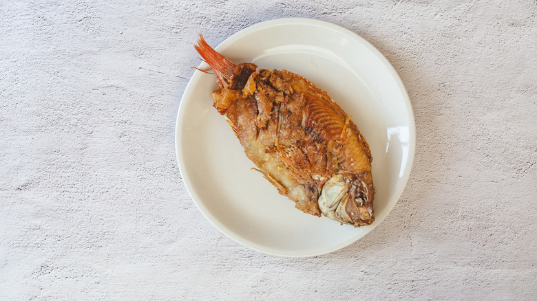 Fried fish on plate