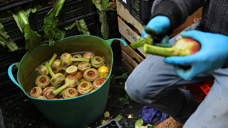 Prepared artichokes rest in water