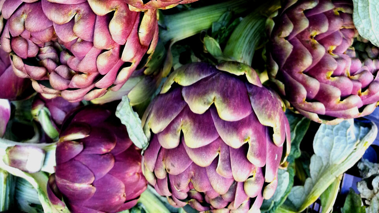 Purple hues of Roman artichokes