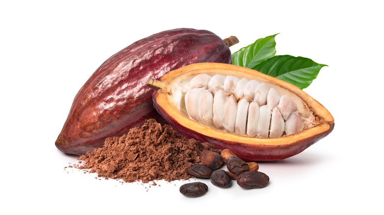 Cacao pods