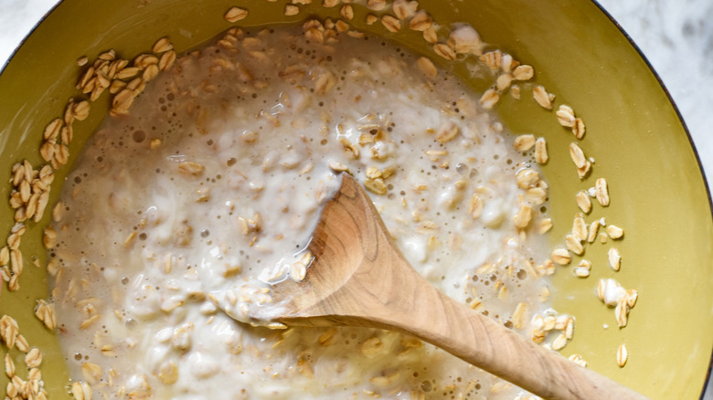 oats yogurt and milk in bowl