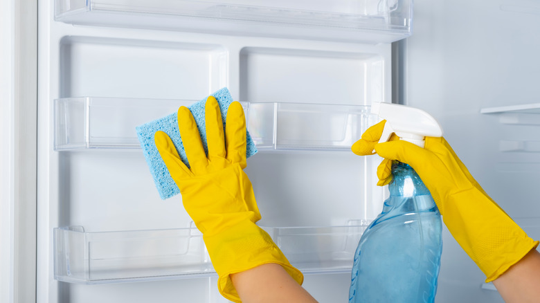 Cleaning refrigerator 