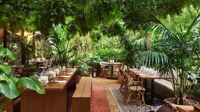 Ardor plant-filled dining room