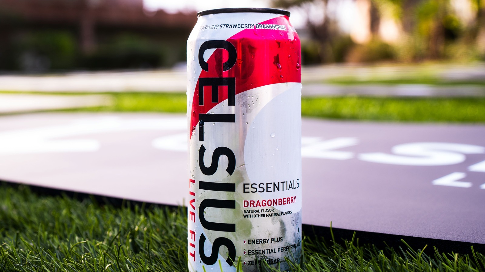 https://www.tastingtable.com/img/gallery/celsius-is-bringing-energy-to-college-students-nationwide-with-fit-stops-tour/l-intro-1700234506.jpg