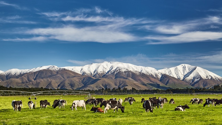 South Island, New Zealand