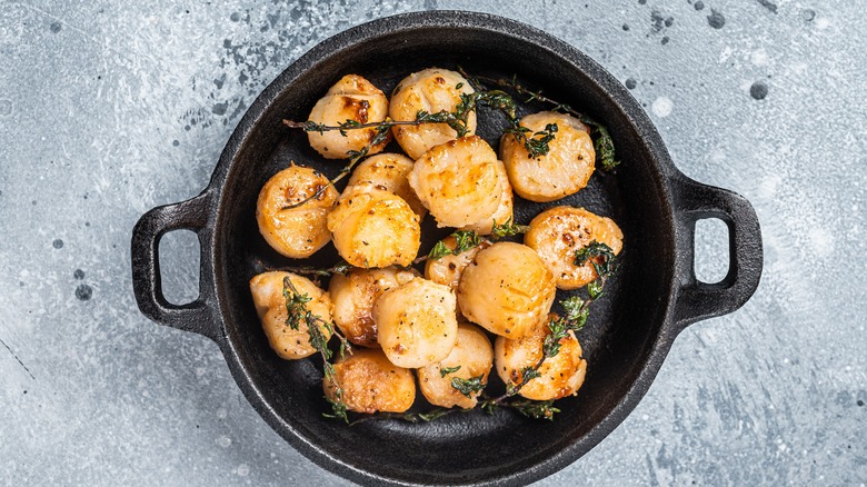 Scallops and thyme in cast iron pot