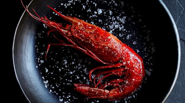 large red prawn in bowl