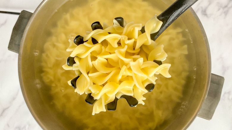 spoonful of cooked egg noodles 