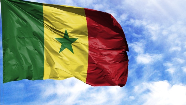 The green, yellow, and red Senegal flag with star in the center