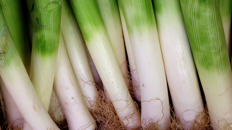 A bunch of fresh leeks