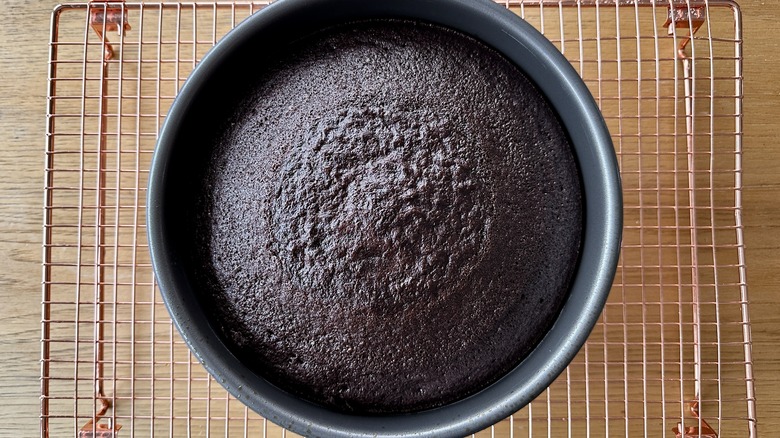 Baked chocolate cake in pan