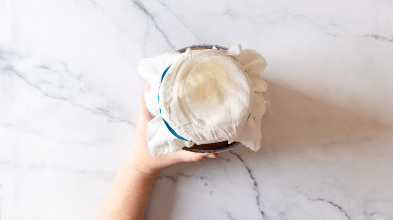 Hand holding jar with kombucha