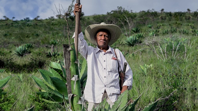 Farmer holding tall pole