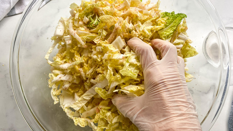 cut cabbage in bowl 