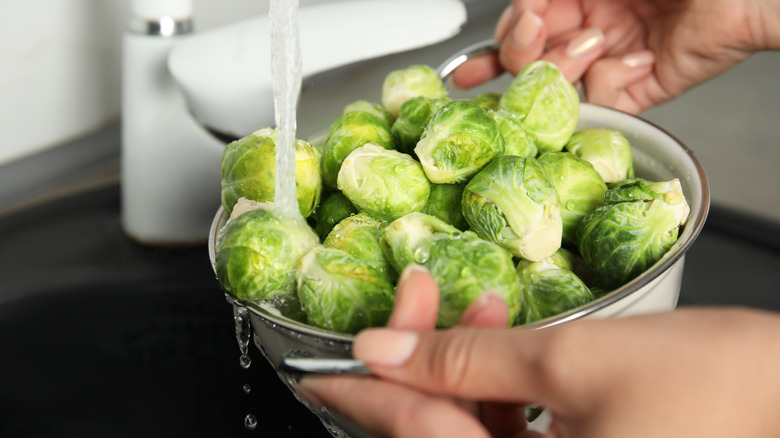 hands washing Brussels sprouts