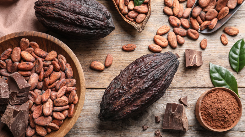 cacao pods, beans, and powder