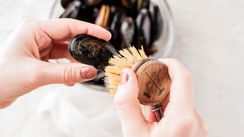 mussels and brush 