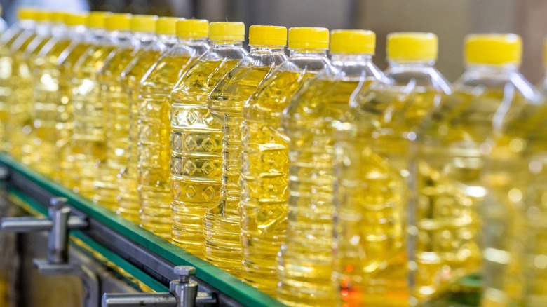 Many bottles of unlabeled olive oil