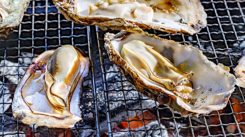 Oysters on a grill